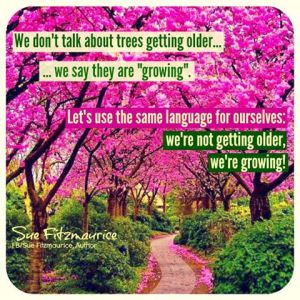 10380979_827885793899029_5720882132917379880_n