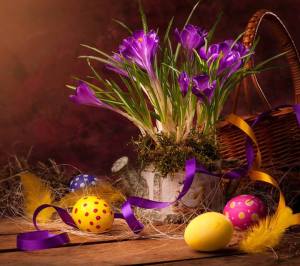 1461561_543816955734880_4645053852247076294_n